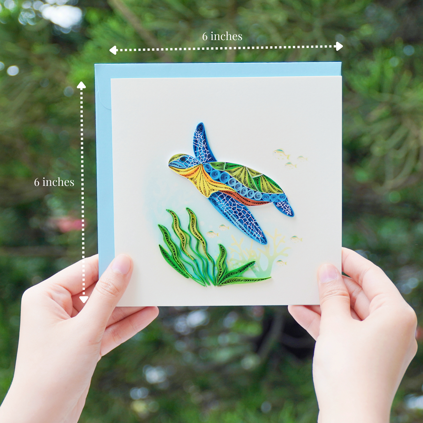 Sea Turtle & Seaweed