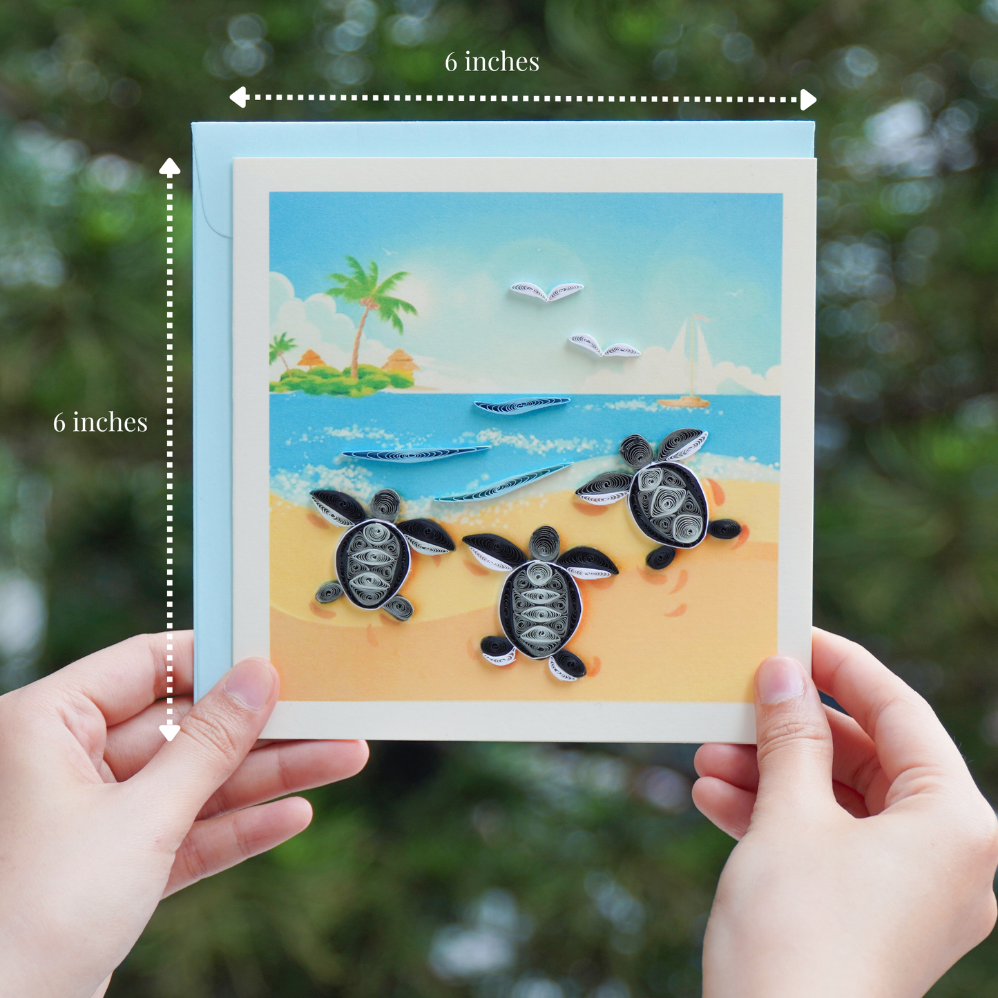 Sea Turtles on Beach